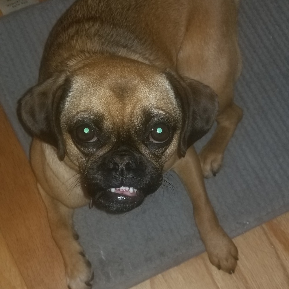 Meet your Posher, Jennifer